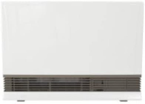 EX38DTWN Direct Vent Wall Furnace, Indoor Natural Gas Heater, Energy Efficient Space Heater, 38,000 BTU, White